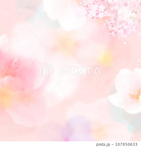 やさしい桜の背景素材 やさしい桜の背景素材 107850633