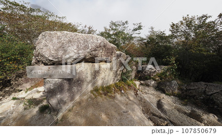 びわ湖バレイ 打見山 クロトノハゲ びわ湖バレイ 打見山 クロトノハゲ 107850679
