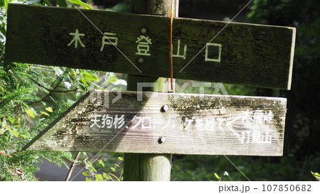びわ湖バレイ 打見山 木戸登山口 びわ湖バレイ 打見山 木戸登山口 107850682