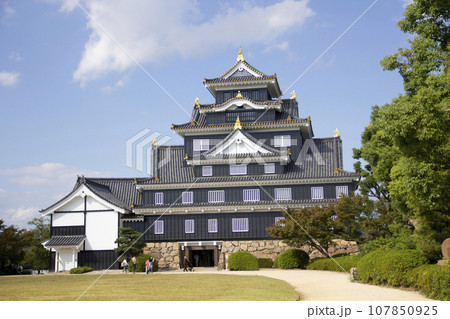 岡山城天守閣 岡山城天守閣 107850925