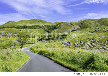 ススキが風に揺れる秋の美しい平尾台（福岡県北九州市） 107852144