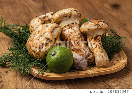 秋の味覚松茸 107853347