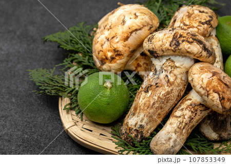 秋の味覚松茸 107853349