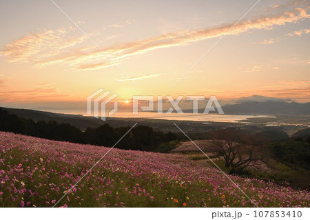 早朝の白木峰高原 早朝の白木峰高原 107853410