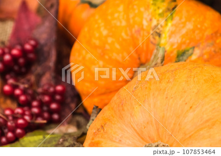 Autumn background with pumpkins, berries and leaves, close up 107853464