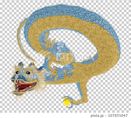 Realistic dragon illustration Realistic dragon illustration 107855047