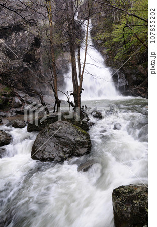 Naturel Life Naturel Life 107855202
