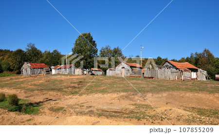 Naturel Life 107855209