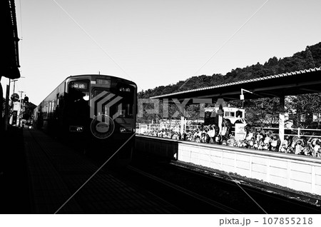 信楽駅のタヌキ人形と電車 白黒写真 信楽駅のタヌキ人形と電車 白黒写真 107855218