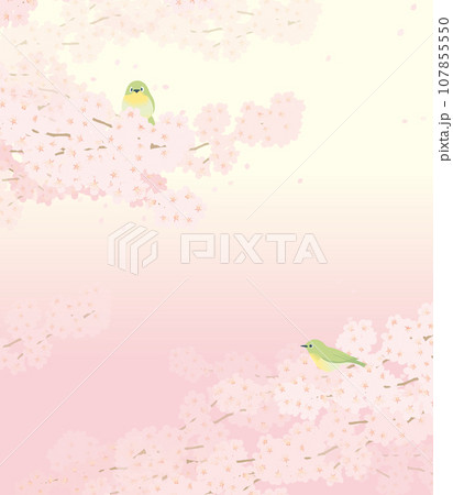 桜の花びらが舞う春の背景イメージ 107855550