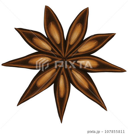 Big Christmas Watercolor Anise Star clip art 107855811