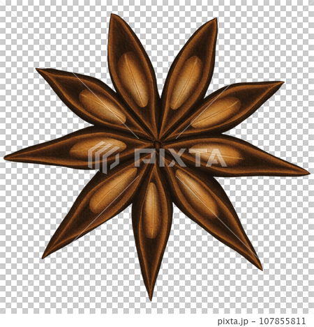 Big Christmas Watercolor Anise Star clip art Big Christmas Watercolor Anise Star clip art 107855811