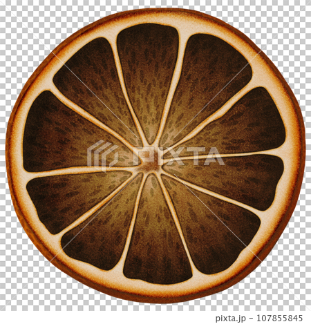 Cute big dry orange slice Cute big dry orange slice 107855845