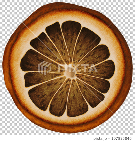 Cute small dry orange slice Cute small dry orange slice 107855846
