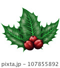 Cute Realistic christmas holly with three berries 107855892