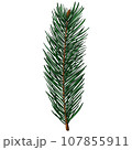 Cute realistic spruce branch with one small cone 107855911