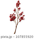 Cute Big branch with red berries 107855920