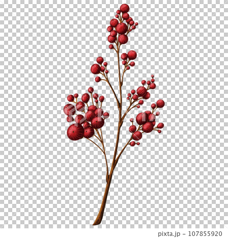 Cute Big branch with red berries 107855920