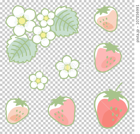 Cute strawberry and flower illustration set 107856991