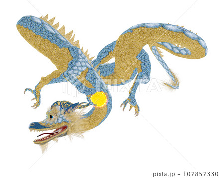 リアルな龍のイラスト 107857330