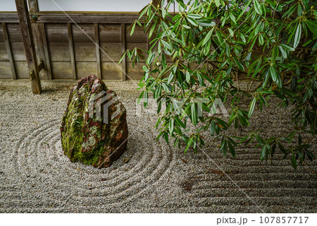 高野山真言宗総本山 金剛峯寺・枯山水小庭 高野山真言宗総本山 金剛峯寺・枯山水小庭 107857717