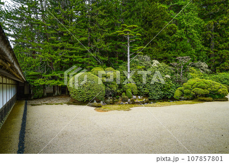 高野山真言宗総本山 金剛峯寺・中庭 高野山真言宗総本山 金剛峯寺・中庭 107857801