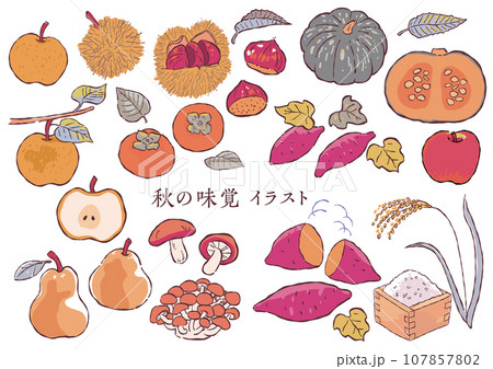 かわいい秋のイラスト素材B 107857802
