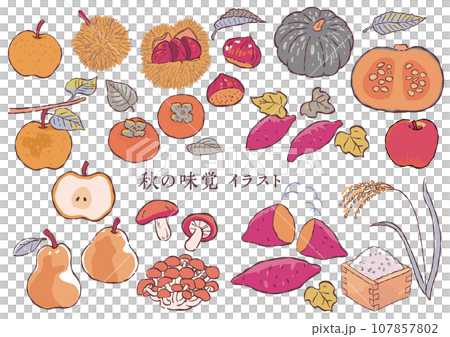 Cute autumn illustration material B 107857802