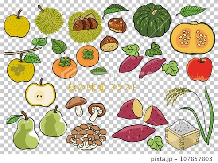 可愛的秋天插畫素材A 可愛的秋天插畫素材A 107857803