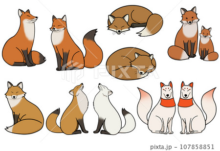 きつねの詰め合わせイラスト きつねの詰め合わせイラスト 107858851