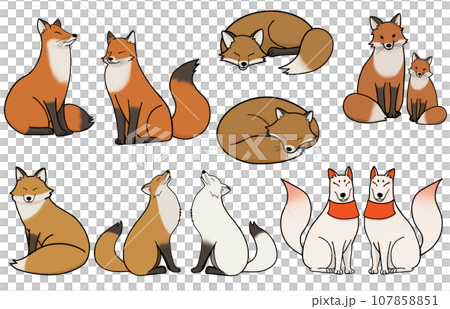 きつねの詰め合わせイラスト きつねの詰め合わせイラスト 107858851