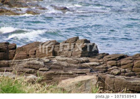 ウスタイベ千畳岩(北海道・枝幸町) ウスタイベ千畳岩(北海道・枝幸町) 107858943