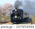 磐越西線：春爛漫の越後路を走るSL磐越物語号 107858988