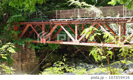 長野県大桑村 阿寺渓谷 森林鉄道跡 107859416