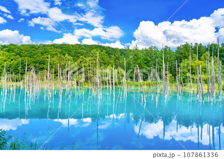 夏の北海道美瑛・富良野 青い池 夏の北海道美瑛・富良野 青い池 107861336