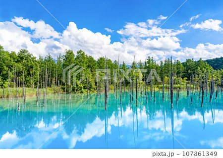 夏の北海道美瑛・富良野　青い池 107861349