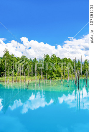 夏の北海道美瑛・富良野　青い池 107861353