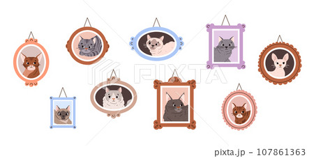 Wall with framed portraits of purebred cats, flat vector illustration isolated. 107861363
