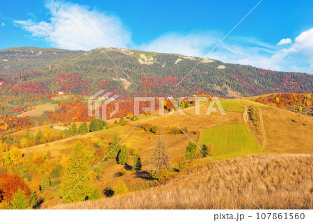 mountainous countryside in fall season. grassy meadows and colorful trees on the hill on a sunny autumn afternoon 107861560
