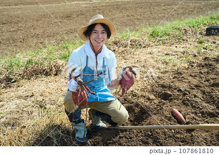 さつま芋を収穫する男性 107861810