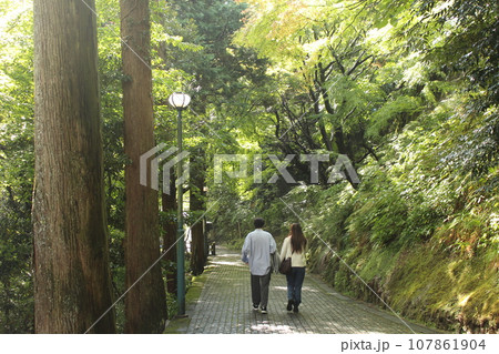 秋の中尊寺の参道を歩く 107861904