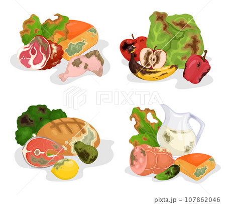 Rotten Food 2x2 Design Concept 107862046