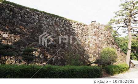 高知城 石垣 107862908