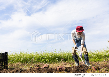畑を耕す若い男性 畑を耕す若い男性 107863273