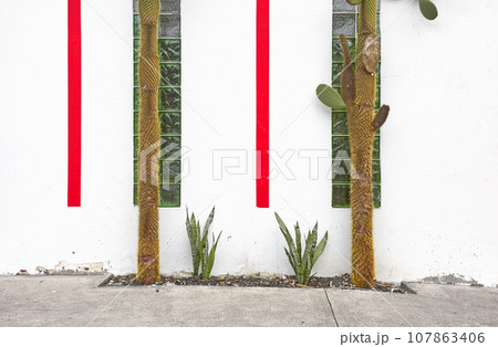 Street view of red and white building facade with cactus, architecture background, Ecuador. Street view of red and white building facade with cactus, architecture background, Ecuador. 107863406