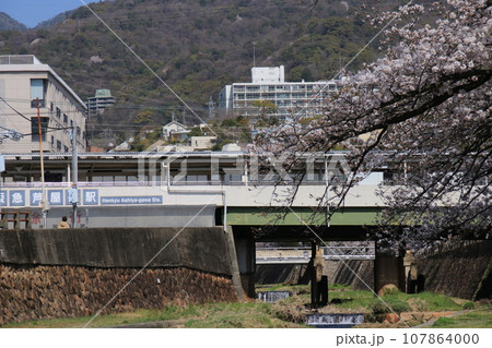 阪急電鉄・芦屋川駅と満開の桜の花(兵庫県芦屋市) 107864000