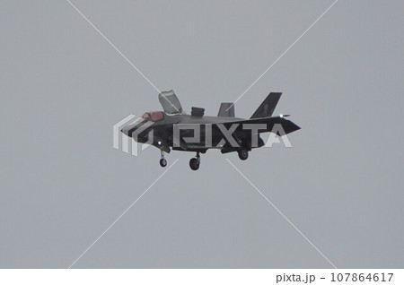 垂直着陸をするアメリカ海兵隊F-35B 107864617
