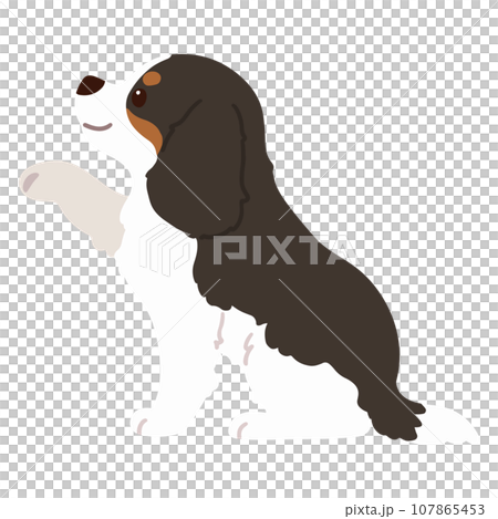 正在處理騎士查理王小獵犬的插圖,無主線 正在處理騎士查理王小獵犬的插圖,無主線 107865453