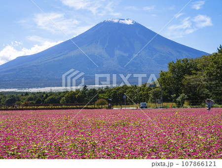 富士山 富士山 107866121