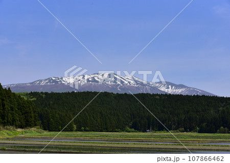 丸池様付近から眺めた鳥海山（出羽富士）と水田　山形県酒田市 107866462